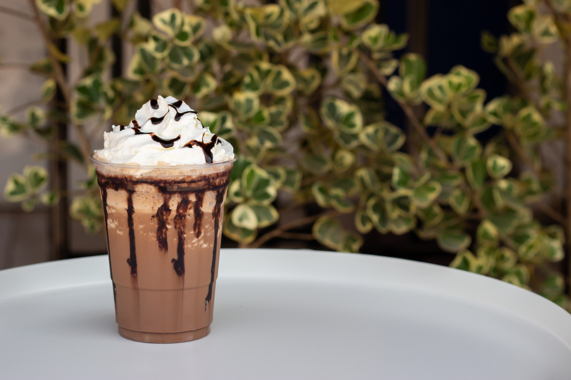 Milkshake de chocolate com whey decorado com chantilly e calda de chocolate, servido em um copo plástico, com fundo de plantas.